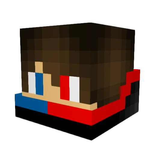 TheLion011 Minecraft avatar head, 3D render