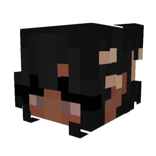 TheLittleTeacup Minecraft avatar head, 3D render