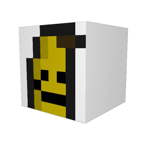 TheLittleWizard Minecraft avatar head, 3D render