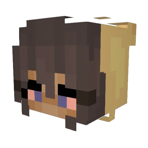 TheLittlestTae Minecraft avatar head, 3D render