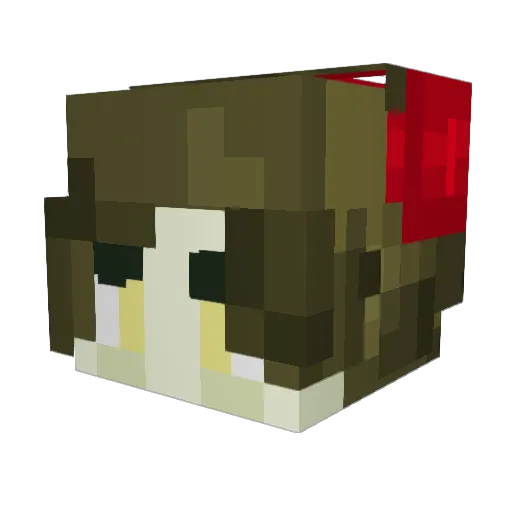 TheLivingBoiii Minecraft avatar head, 3D render