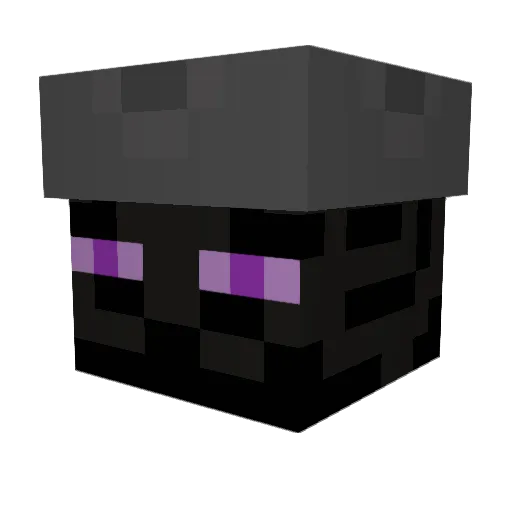 TheLlamaDude Minecraft avatar head, 3D render