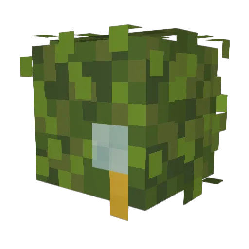 TheLol1k Minecraft avatar head, 3D render