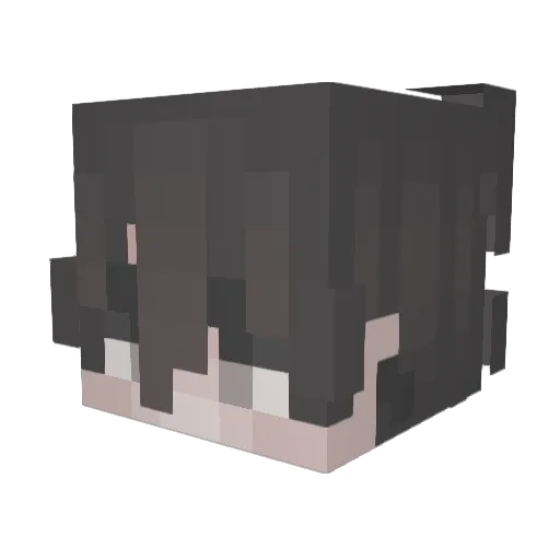 TheLolTroll1234 Minecraft avatar head, 3D render