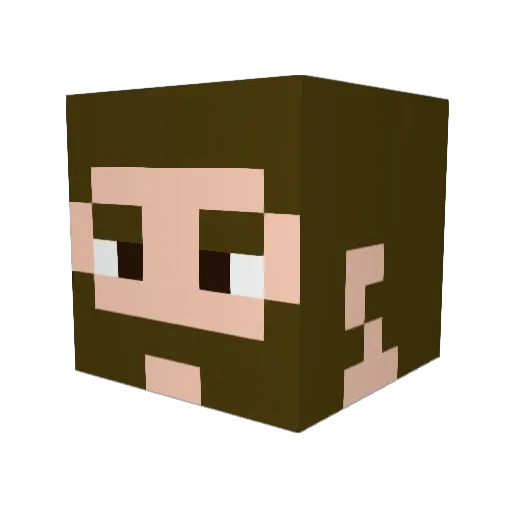 TheLoneWanderer6 Minecraft avatar head, 3D render