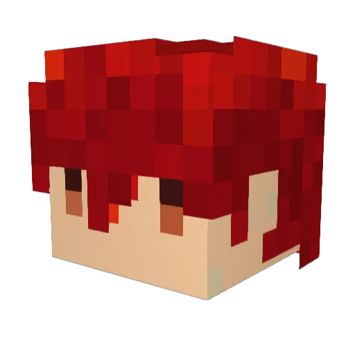 TheLonelyAcorn Minecraft avatar head, 3D render