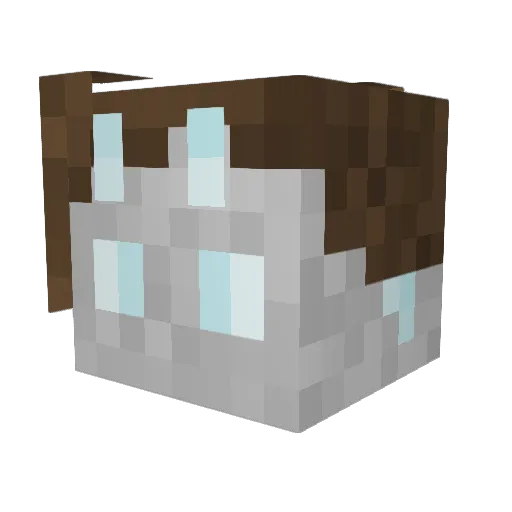 TheLonelyMedic Minecraft avatar head, 3D render