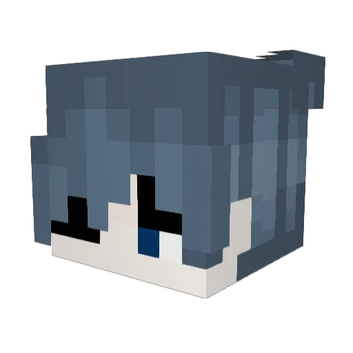 TheLonelyStray Minecraft avatar head, 3D render