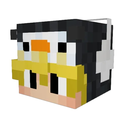 TheLostEnder8 Minecraft avatar head, 3D render