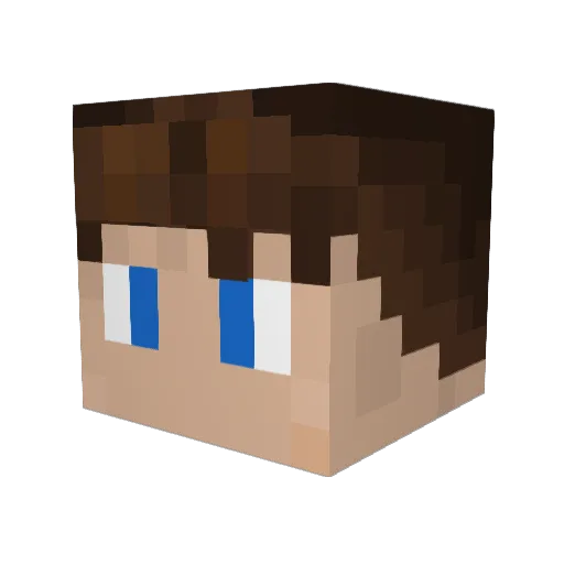 TheLostMaster Minecraft avatar head, 3D render