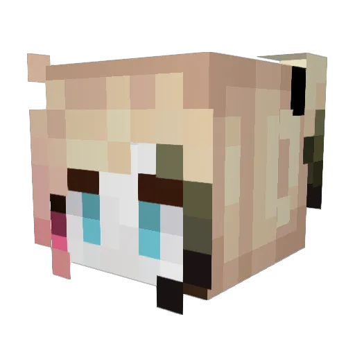 TheLostSiren Minecraft avatar head, 3D render