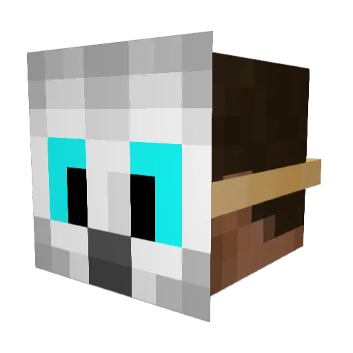 TheLuckiestOwl Minecraft avatar head, 3D render