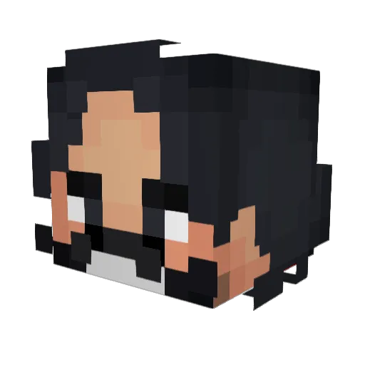 TheLuckyOneSH Minecraft avatar head, 3D render