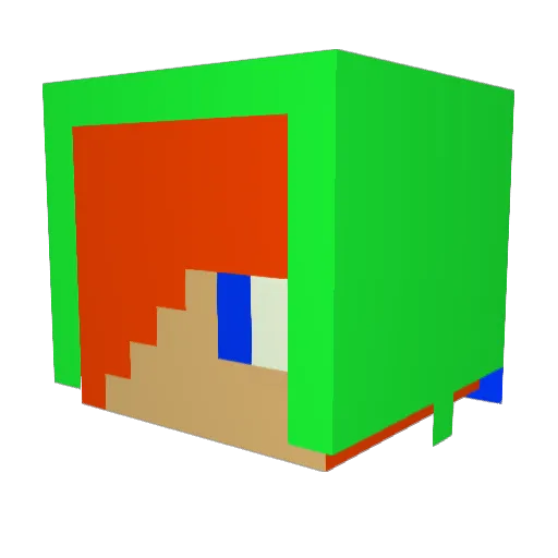 TheLukester5611 Minecraft avatar head, 3D render