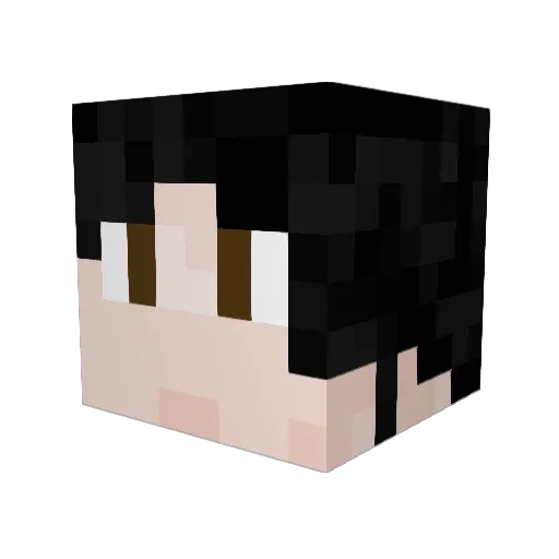 TheLunacySystem Minecraft avatar head, 3D render