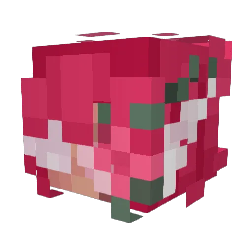TheLunarGarden Minecraft avatar head, 3D render