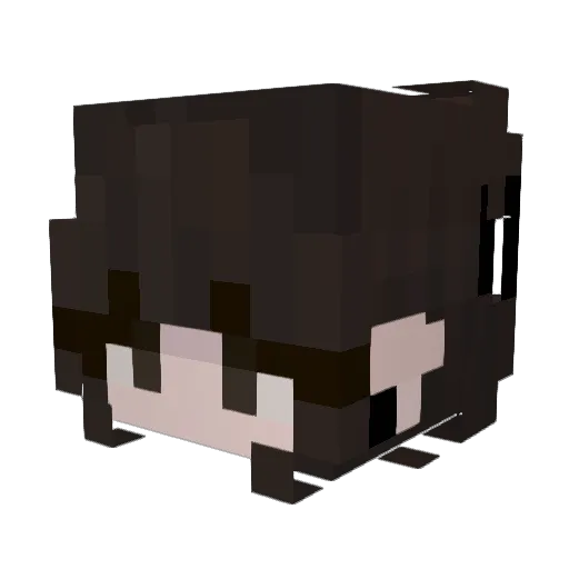 TheLunarHeir Minecraft avatar head, 3D render