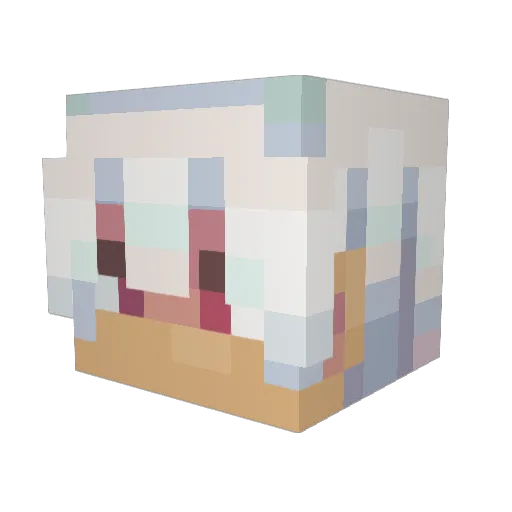 TheLurkerFox Minecraft avatar head, 3D render