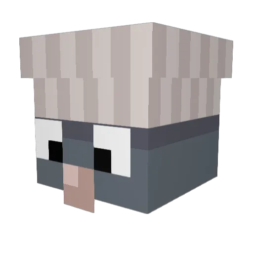 TheLurkyTurkey Minecraft avatar head, 3D render