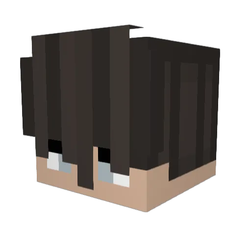 TheLxnelyOne Minecraft avatar head, 3D render