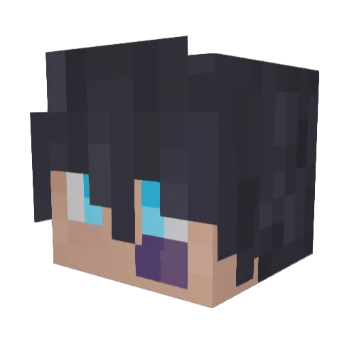 TheLyanrod Minecraft avatar head, 3D render