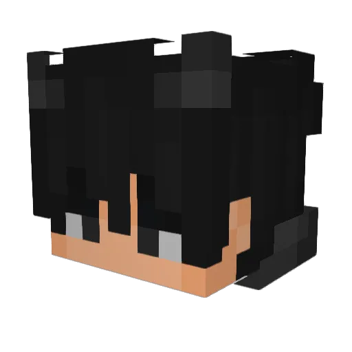 TheMJamesB Minecraft avatar head, 3D render