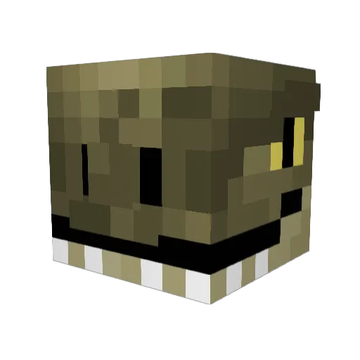 TheMadNasty Minecraft avatar head, 3D render