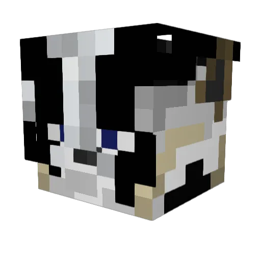 TheMaddBadgerr Minecraft avatar head, 3D render