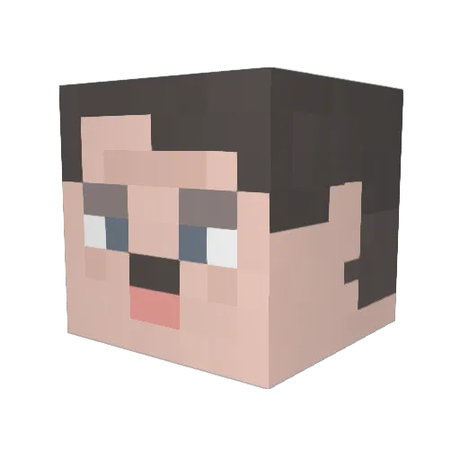 TheMagicRobinYT Minecraft avatar head, 3D render