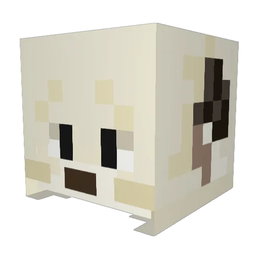 TheMagicalBucket Minecraft avatar head, 3D render
