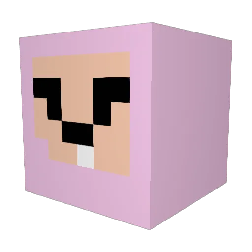 TheMagicalTaco Minecraft avatar head, 3D render