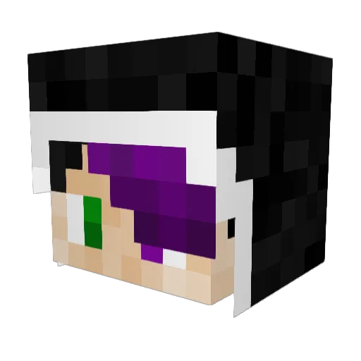 TheMainMap Minecraft avatar head, 3D render