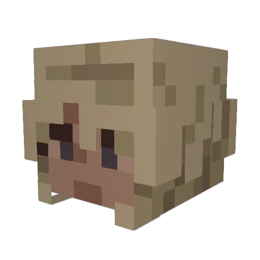 TheMan_1989 Minecraft avatar head, 3D render
