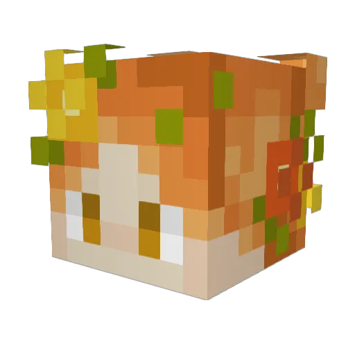 TheMaskedCat Minecraft avatar head, 3D render