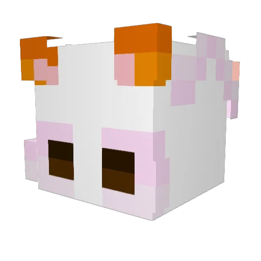 TheMaskedGamer22 Minecraft avatar head, 3D render