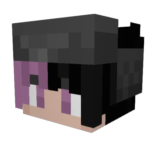TheMat00 Minecraft avatar head, 3D render