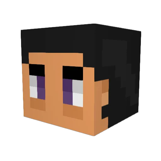 TheMatCat Minecraft avatar head, 3D render
