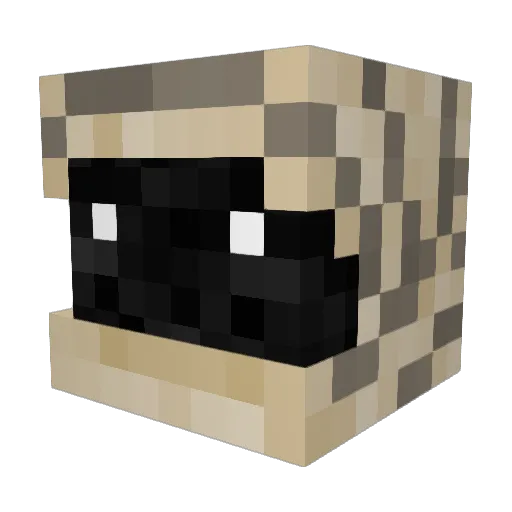 TheMay0r Minecraft avatar head, 3D render