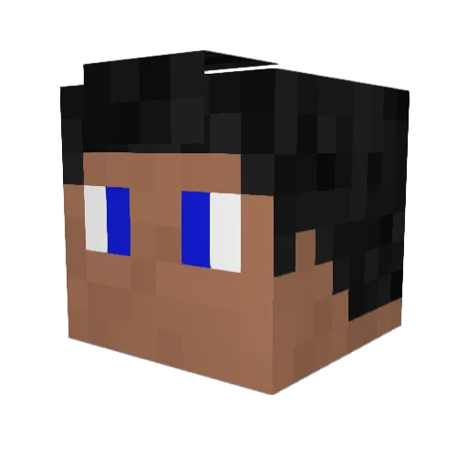 TheMeddler Minecraft avatar head, 3D render