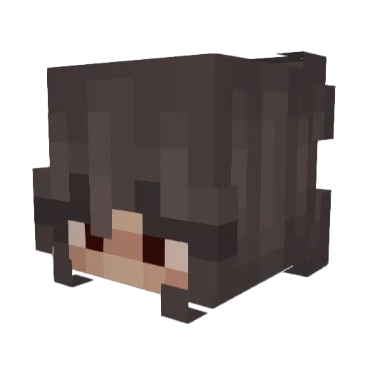 TheMeekPigeon Minecraft avatar head, 3D render