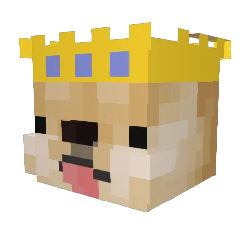 TheMelonDoge13 Minecraft avatar head, 3D render