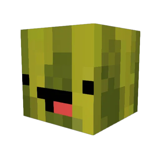 TheMelonGamer Minecraft avatar head, 3D render