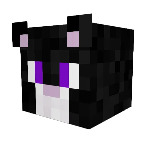 TheMeowLip Minecraft avatar head, 3D render