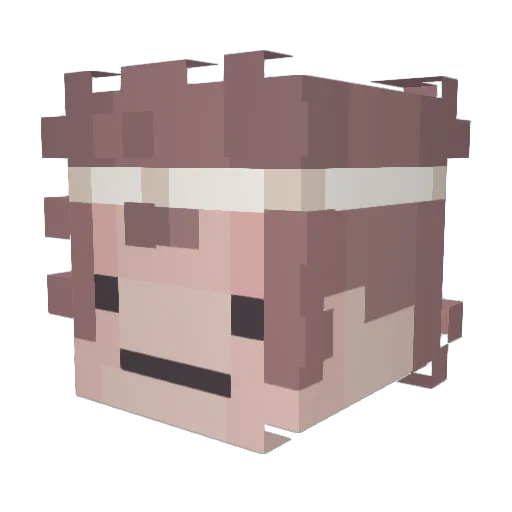TheMerkLuvin Minecraft avatar head, 3D render