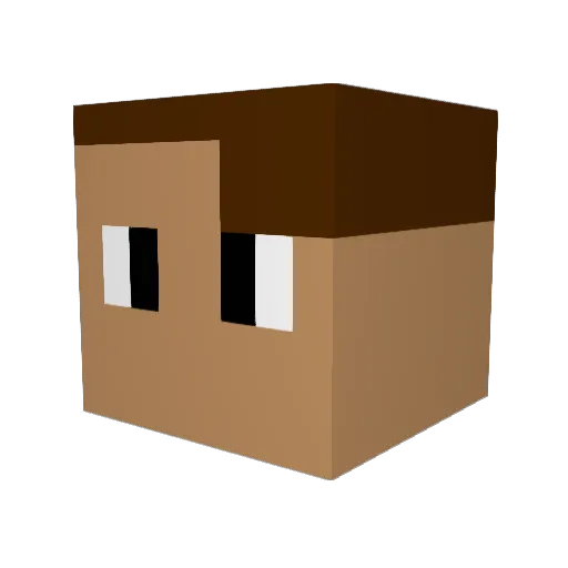 TheMineCrafterz Minecraft avatar head, 3D render