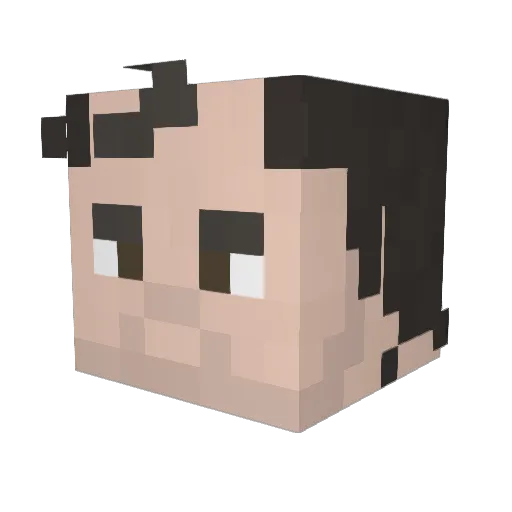 TheMinecrafterb Minecraft avatar head, 3D render