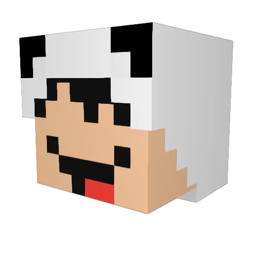 TheMiningNinjaz Minecraft avatar head, 3D render