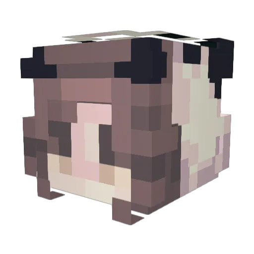 TheMiningPanda Minecraft avatar head, 3D render