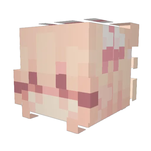 TheMoog3 Minecraft avatar head, 3D render