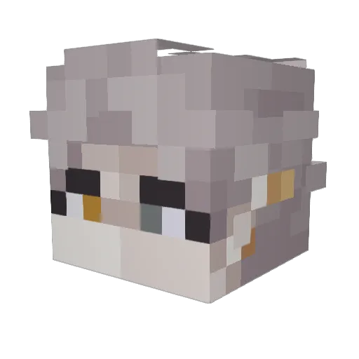 TheMoonara Minecraft avatar head, 3D render